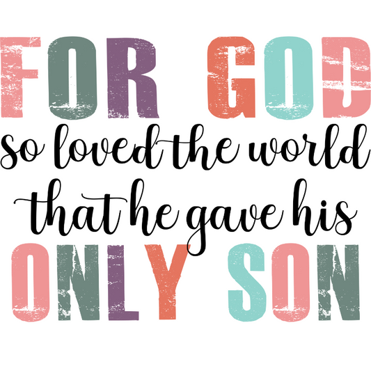 For God so loved the world T-shirt