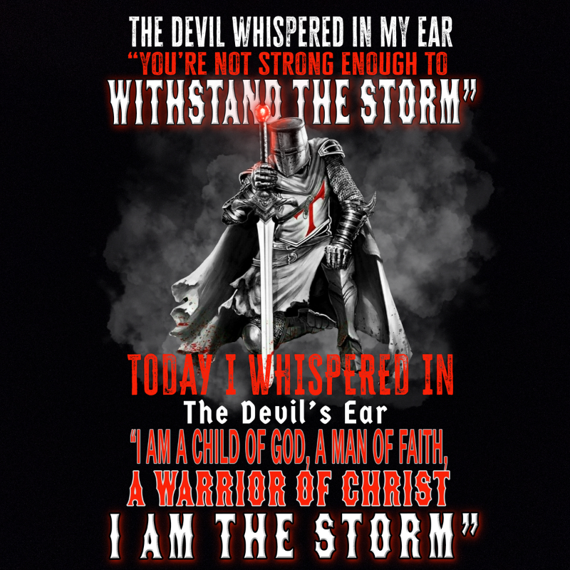 I am the storm T-shirt